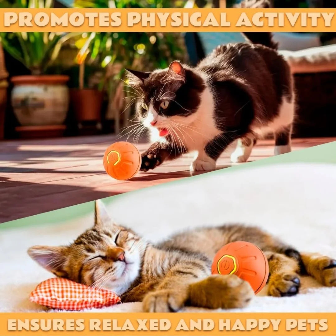 Pet Ball Smart Bouncing For Dogs and Cats